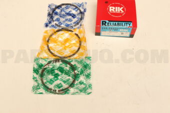 30155050 PISTON RING