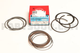 30273050 PISTON RING