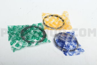 20291STD PISTON RING