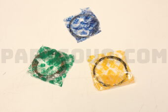 20530025 PISTON RING