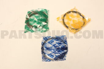 20530025 PISTON RING