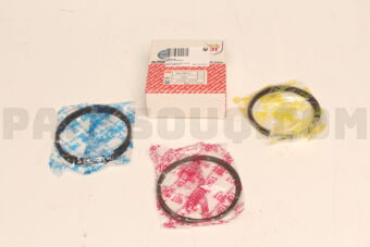 230403C200 RINGS 3.8 LTR 96 MM 050