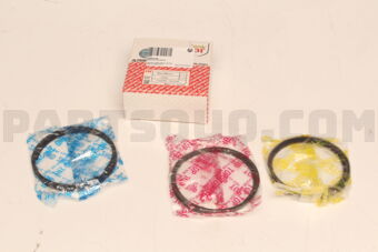230403C200 RINGS 3.8 LTR 96 MM 050