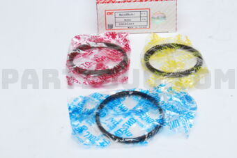 24545481STD PISTON RING STD KAPPA