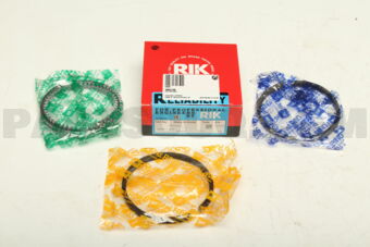 30661100 PISTON RING
