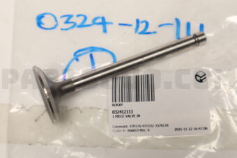 032412111 1 PIECE VALVE IN