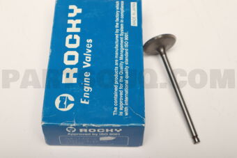 132011W100 1 PIECE VALVE IN