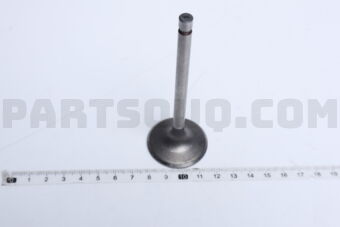 13201D0100 1 PIECE VALVE IN