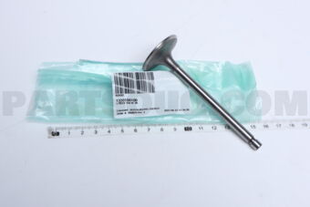 13201D0100 1 PIECE VALVE IN
