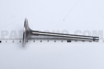 13201D0200 1 PIECE VALVE IN