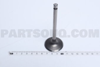13201D0200 1 PIECE VALVE IN