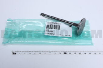 13201D0200 1 PIECE VALVE IN