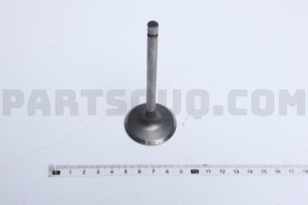 13201D2000 1 PIECE VALVE IN