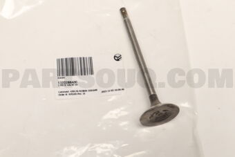 1320288A00 1 PIECE VALVE EX