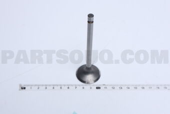13202D0100 1 PIECE VALVE EX