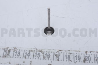 1371110020 1 PIECE VALVE IN