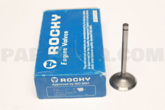 1371154030 1 PIECE VALVE IN