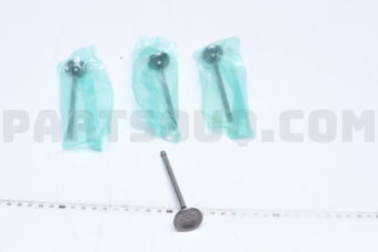 MA1120 ENGINE VALVE-IN 4PCS)