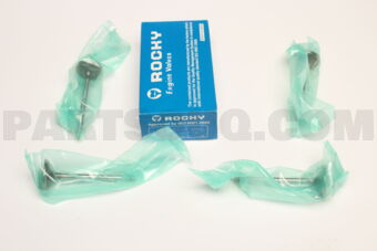 NA1010 ENGINE VALVE IN  4PCS