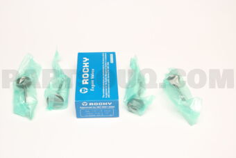 NA1010 ENGINE VALVE IN  4PCS