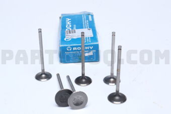 NA1120 ENGINE VALVE IN 6 PCS
