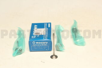 NA1290 ENGINE VALVE-IN 4PCS)