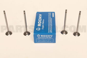 NA1490 ENGINE VALVE IN  4PCS