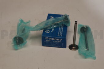 NA460 ENGINE VALVE 4PCS