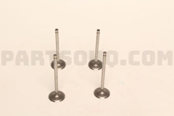 NA870 ENGINE VALVES 4 PCS)