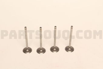 NA870 ENGINE VALVES 4 PCS)