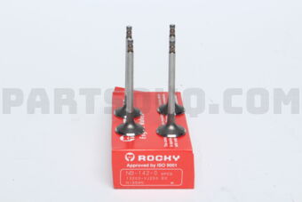 NB1420 ENGINE VALVE
