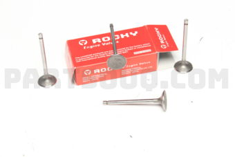 NB800 ENGINE VALVES 4 PCS)