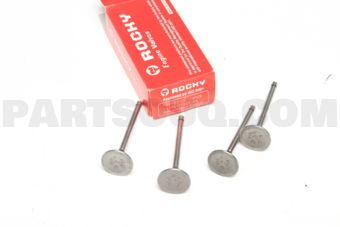NB800 ENGINE VALVES 4 PCS)