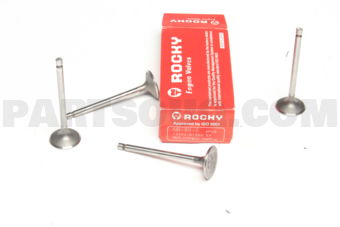NB800 ENGINE VALVES 4 PCS)