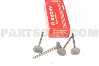 NB800 ENGINE VALVES 4 PCS)