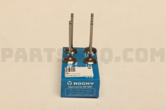 TA1000 ENGINE VALVE  IN 1UZ-FE 32VALV