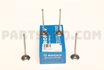 TA1510 ENGINE VALVE IN(4PCS/BOX)