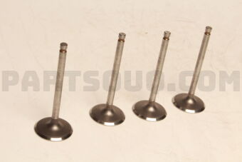 TA720 ENGINE VALVES 4 PCS)