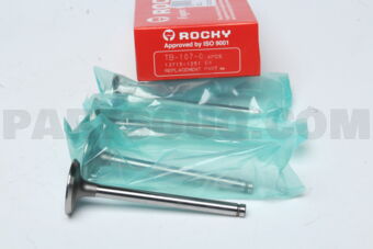 TB1070 ENGINE VALVE