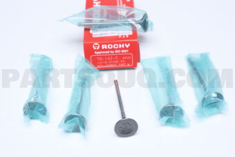 TB1420 ENGINE VALVE .EX  6 P