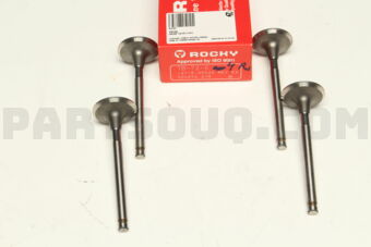 TB720 ENGINE VALVES 4 PCS)