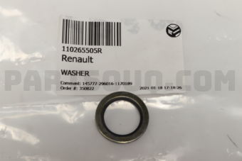 110265505R WASHER