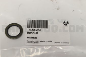 110265505R WASHER