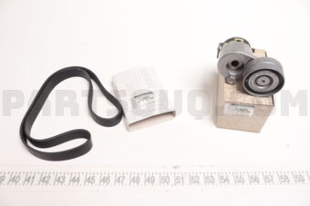 117202848R KIT BELT TENSIONER ACCESSORY W