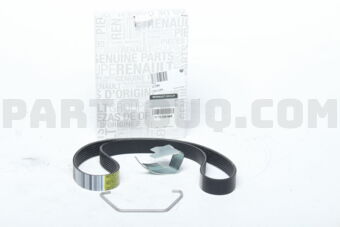 117203866R BELT-ALTNTR