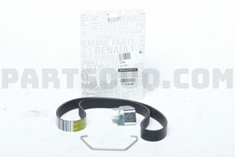 117203866R BELT-ALTNTR