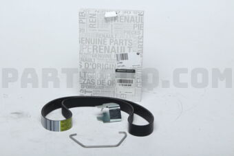 117203866R BELT-ALTNTR