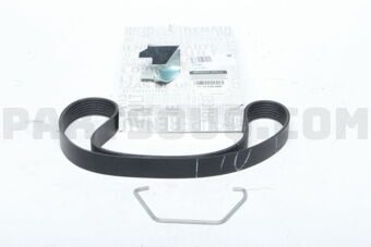 117203866R BELT-ALTNTR