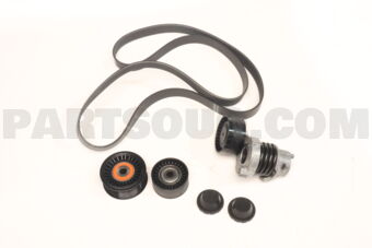 117204083R KIT BELT TENSIONER ACCESSORY W
