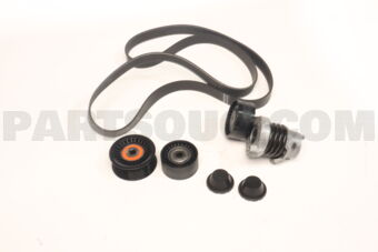 117204083R KIT BELT TENSIONER ACCESSORY W
